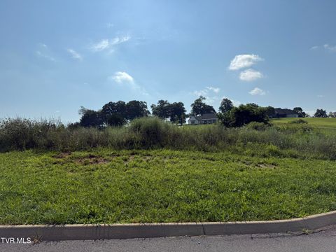 Vacant Land For Sale - LOT 52 Uncle Buddy's Way<br/> Jonesborough, TN 37659