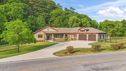Photo of 375 Middle Creek Road, Afton, TN 37616 (MLS # 9995817)