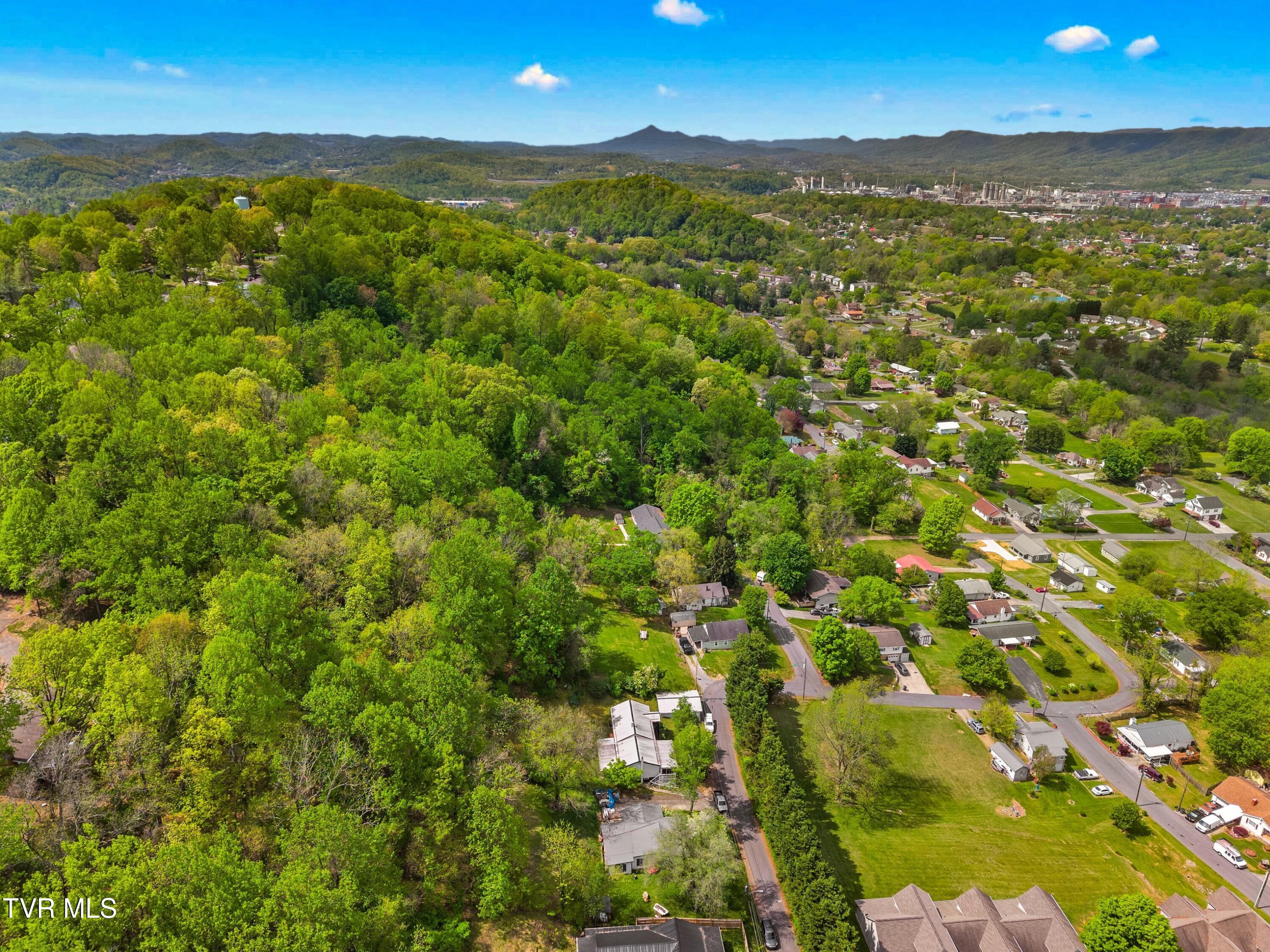1900 Mountain View Avenue, Kingsport, Tennessee image 38