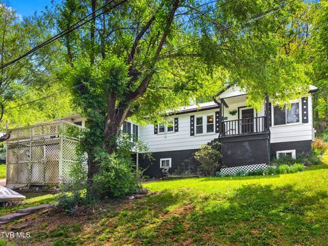Homes For Sale - 1900 Mountain View Avenue<br/> Kingsport, TN 37664