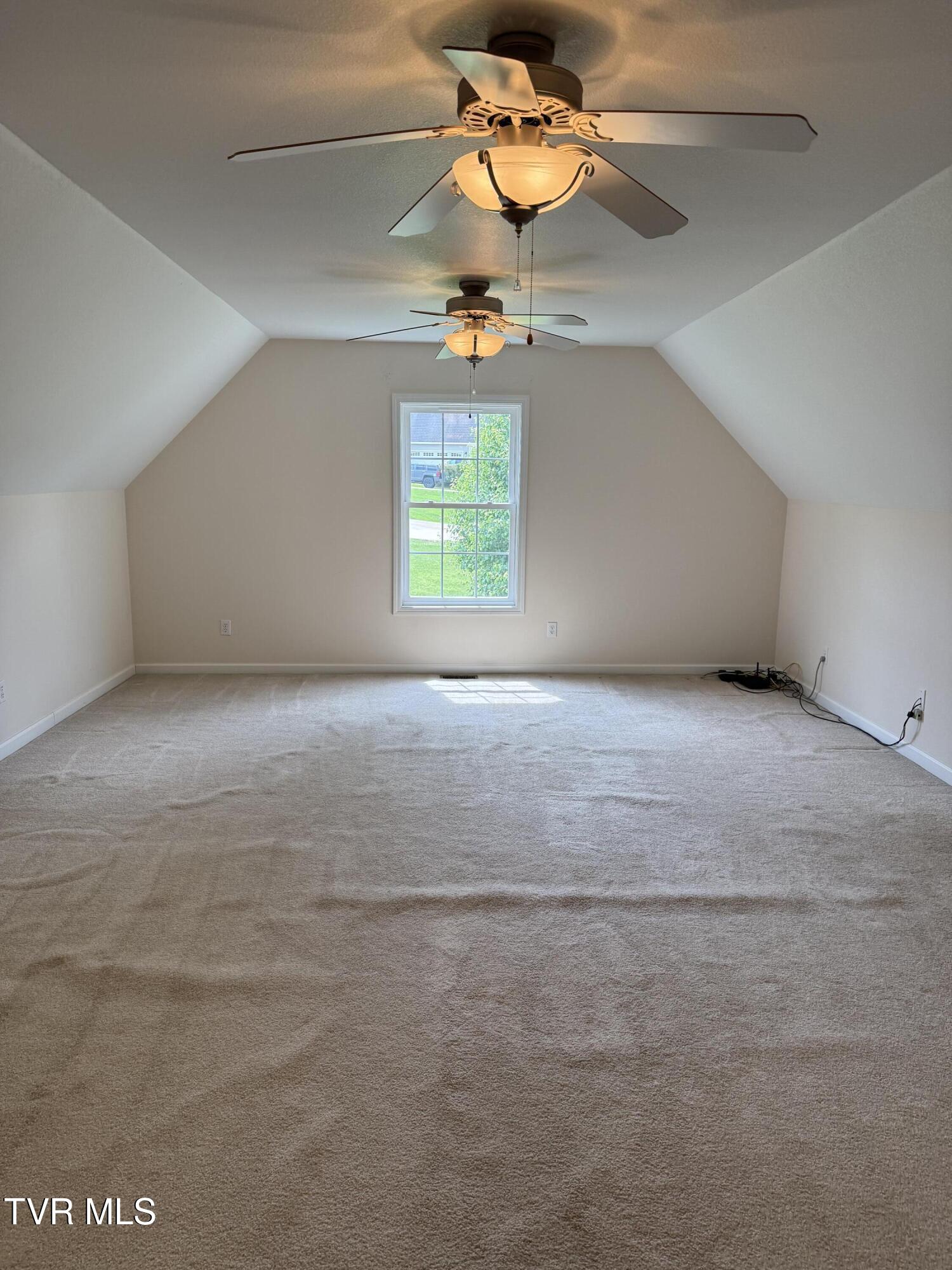 241 Sunnyfield Drive, Blountville, Tennessee image 21