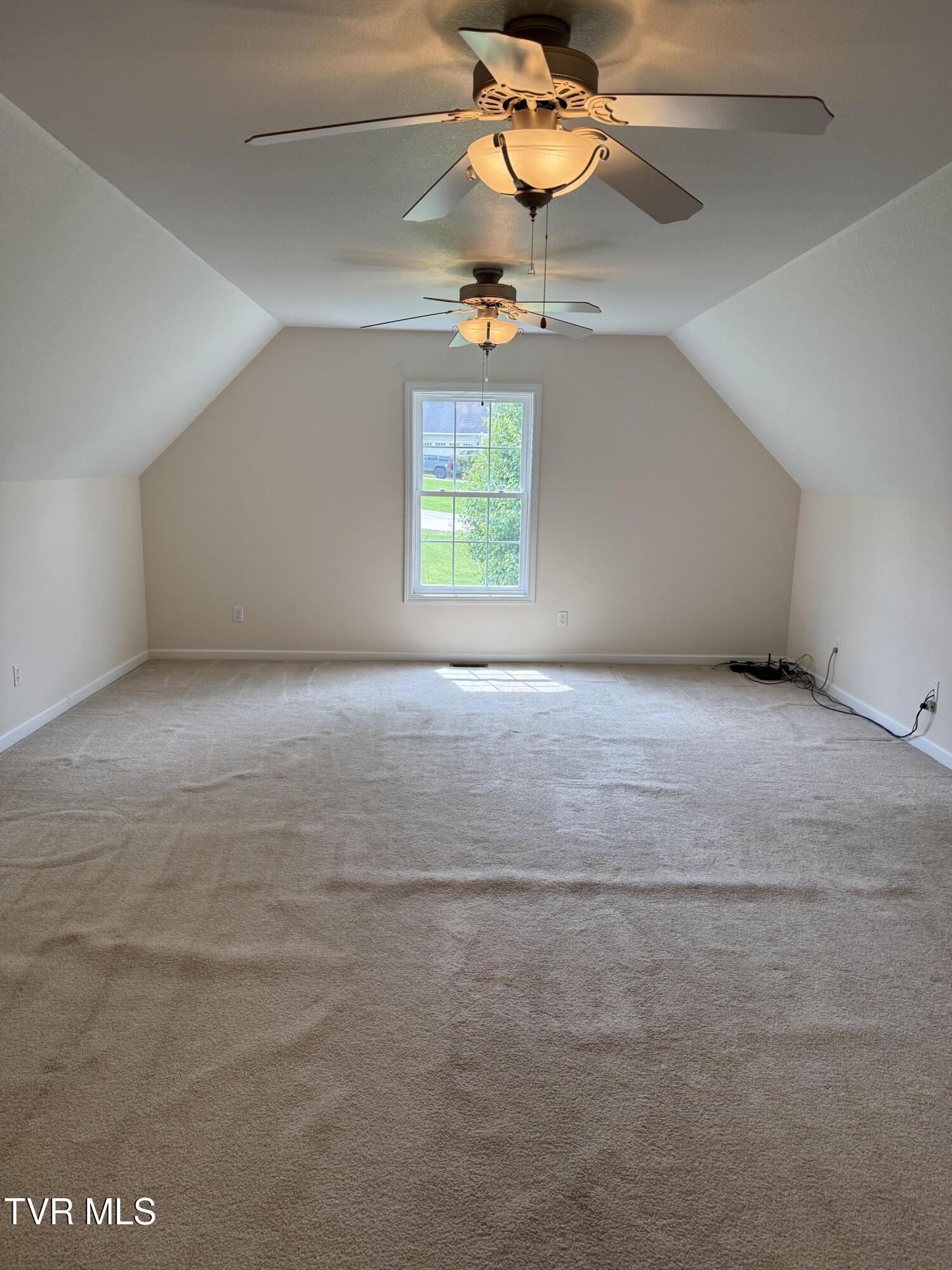 241 Sunnyfield Drive, Blountville, Tennessee image 22