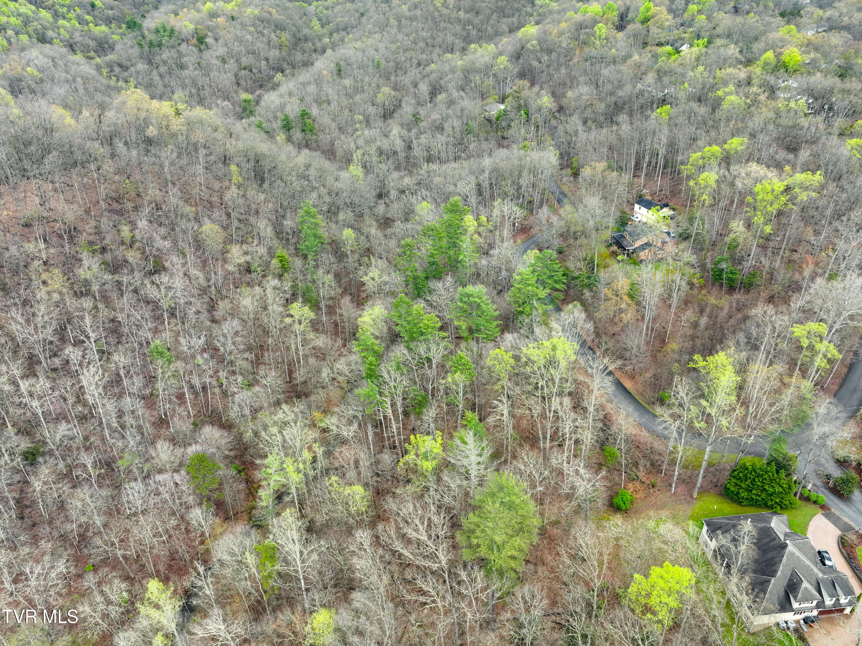 Tbd Skyline Drive, Bristol, Tennessee image 6