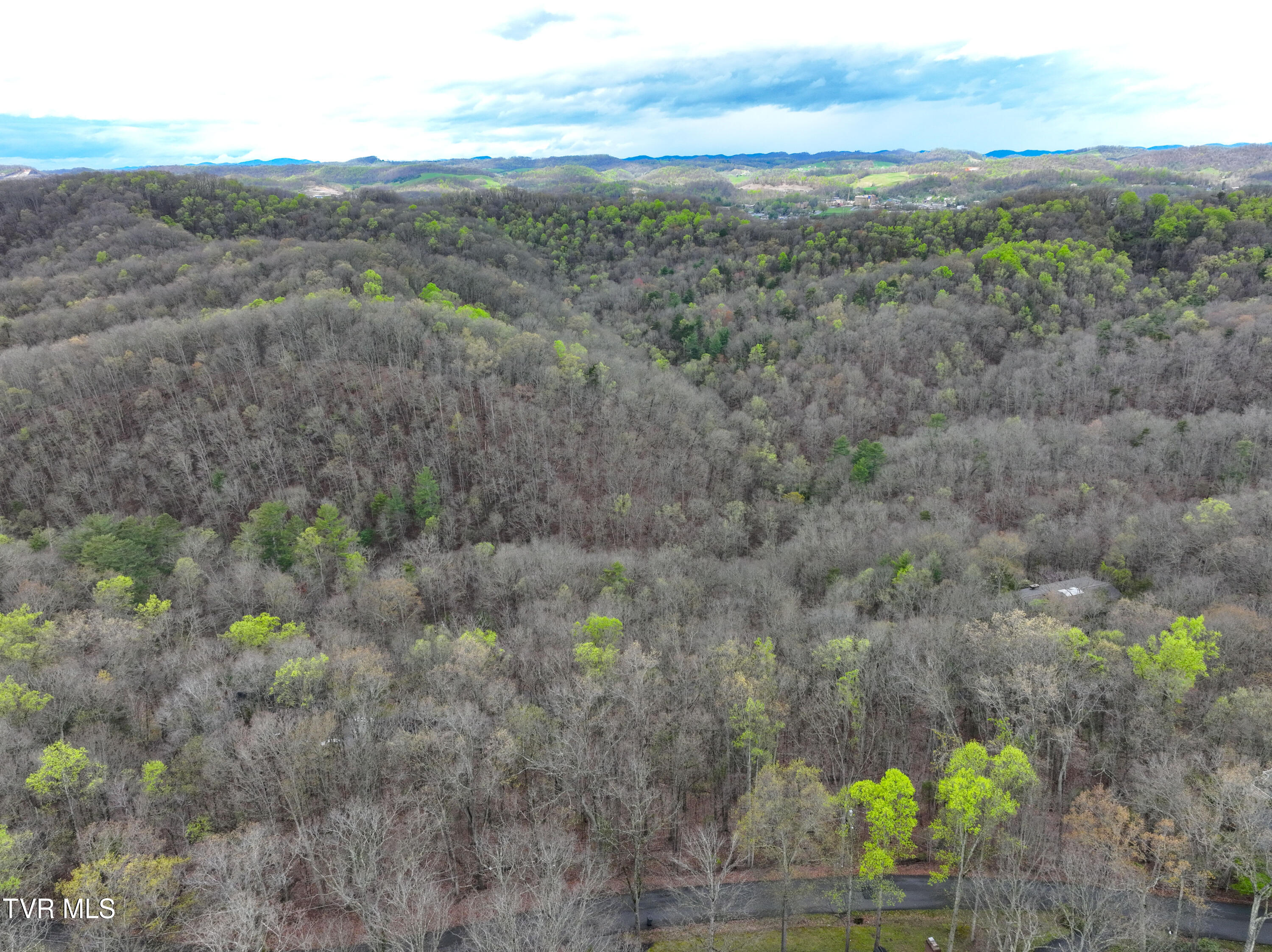 Tbd Skyline Drive, Bristol, Tennessee image 8