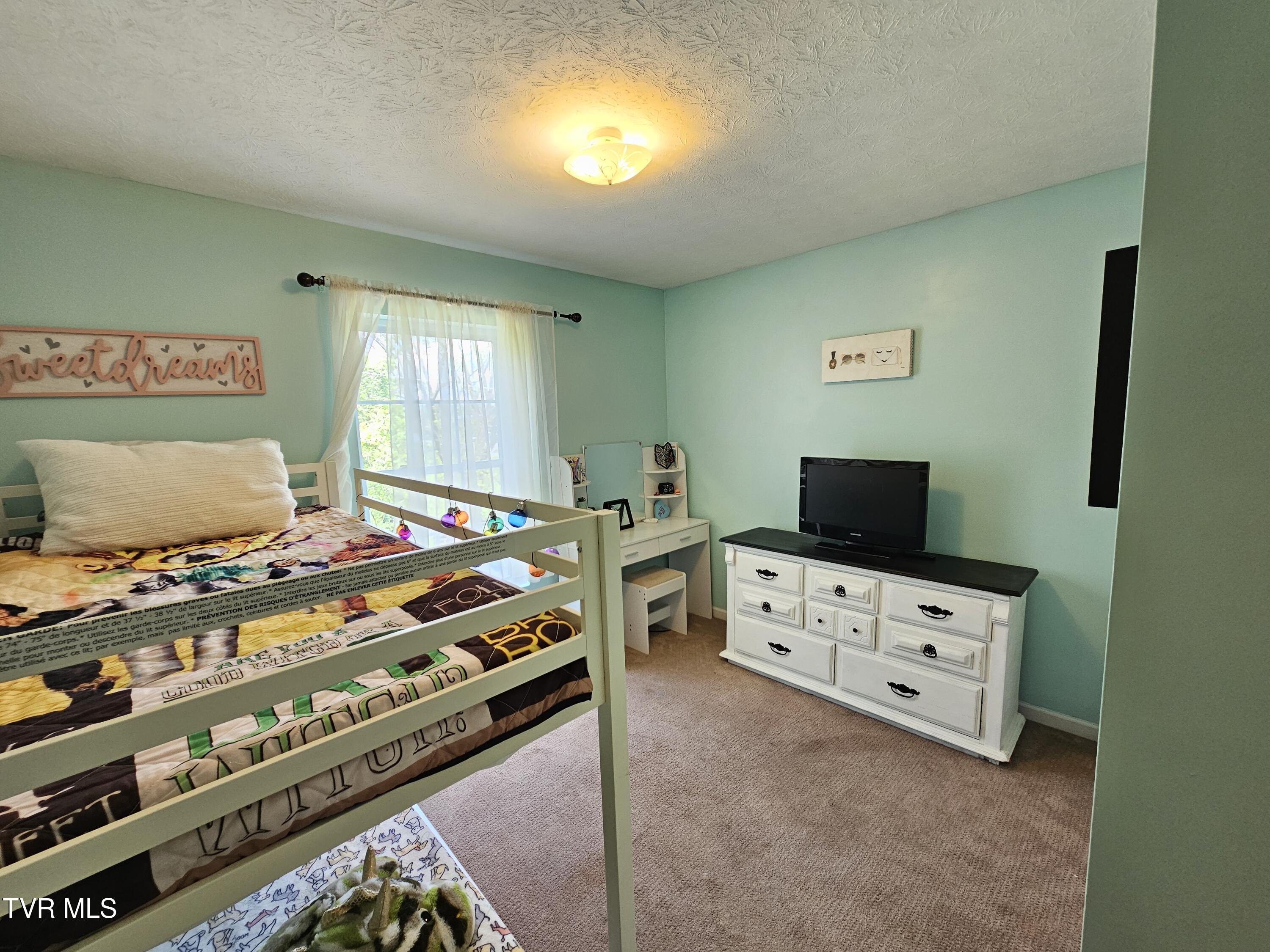 414 Wallace Street, Bristol, Tennessee image 28