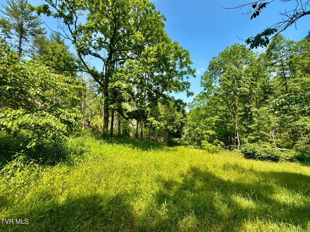 Photo of 99 Tbd Nw Of Copperhead Hollow Road, Mountain City, TN 37683 (MLS # 9983807)