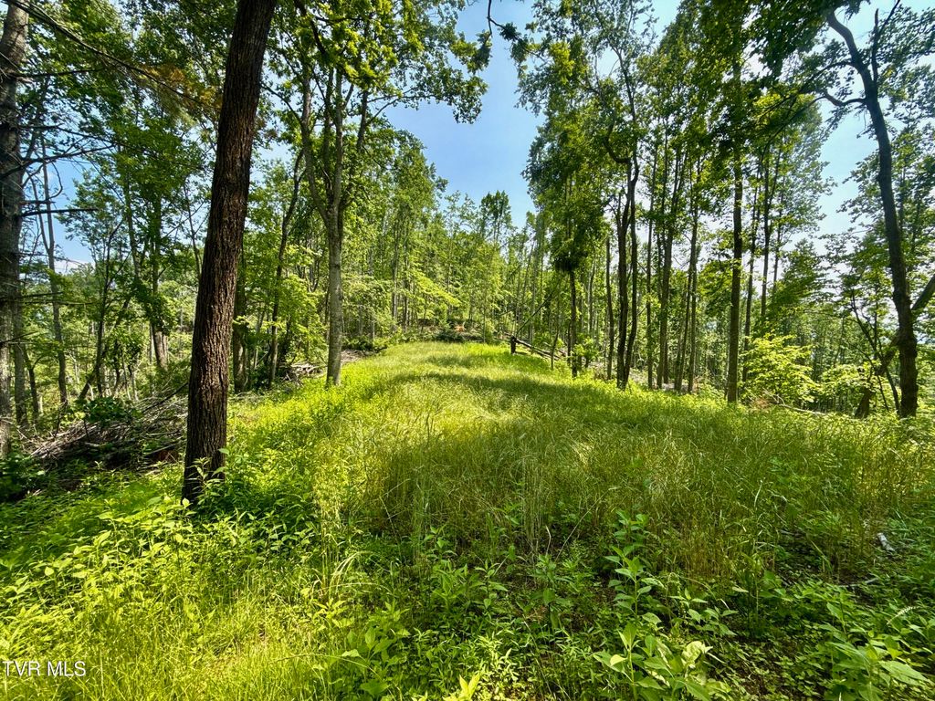 Photo of 99 Tbd Nw Of Copperhead Hollow Road, Mountain City, TN 37683 (MLS # 9983807)