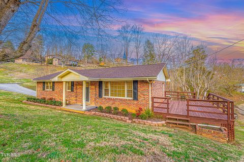 Homes For Sale - 394 Elm Street<br/> Scott County, Gate City, VA 24251