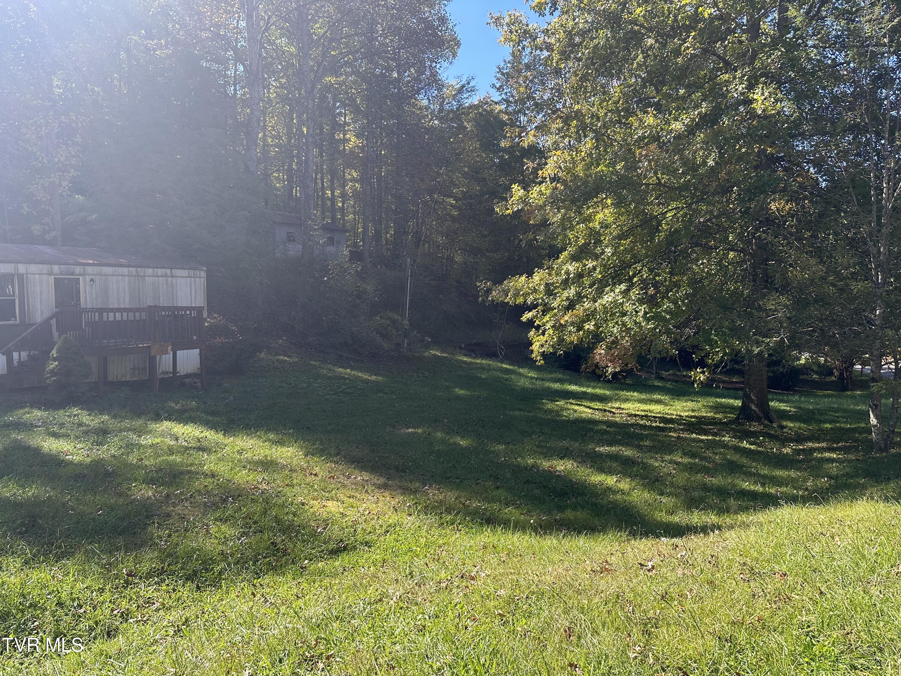1847 Powder Branch Road Road, Johnson City, Tennessee image 2