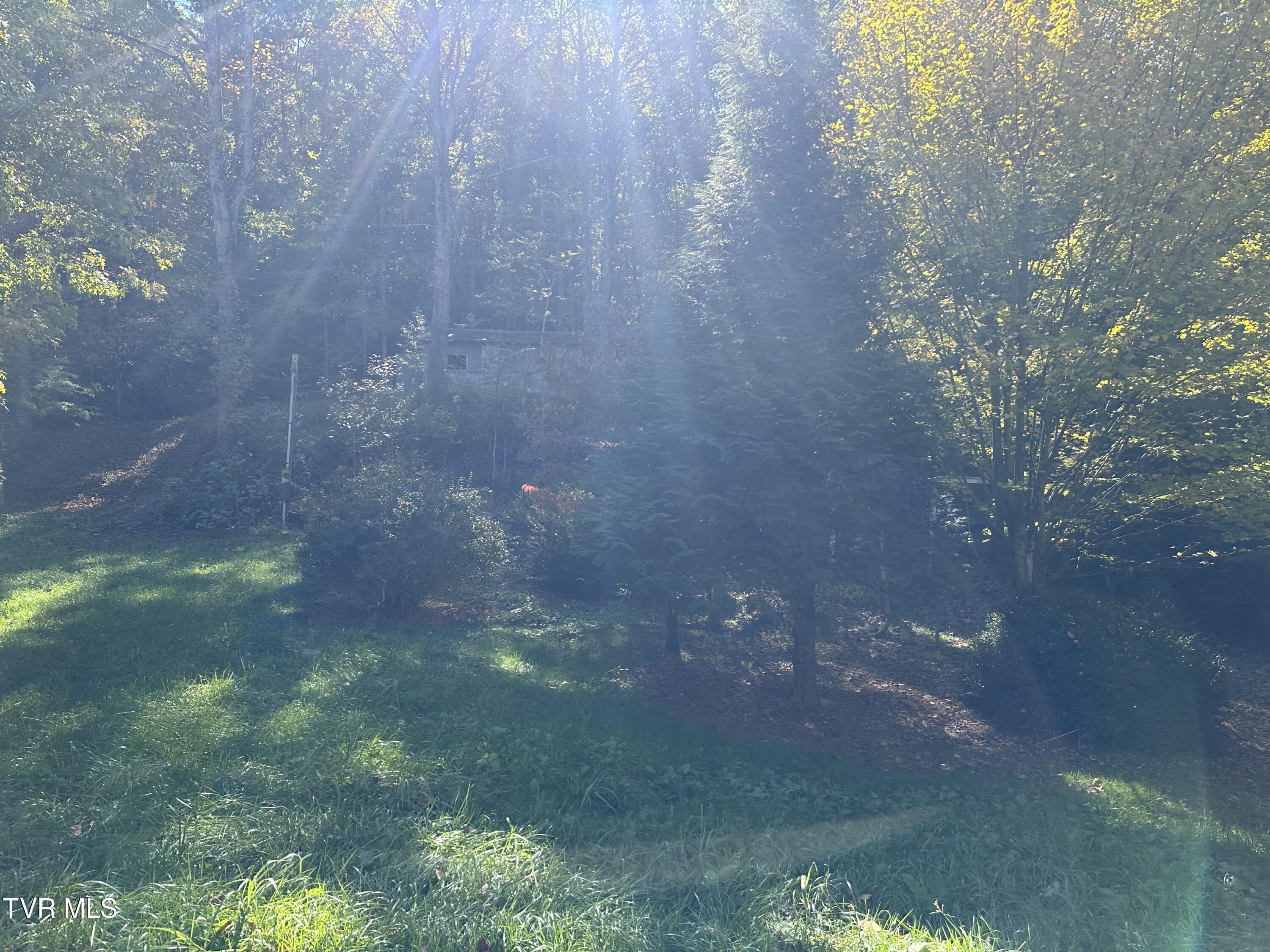 1847 Powder Branch Road Road, Johnson City, Tennessee image 8