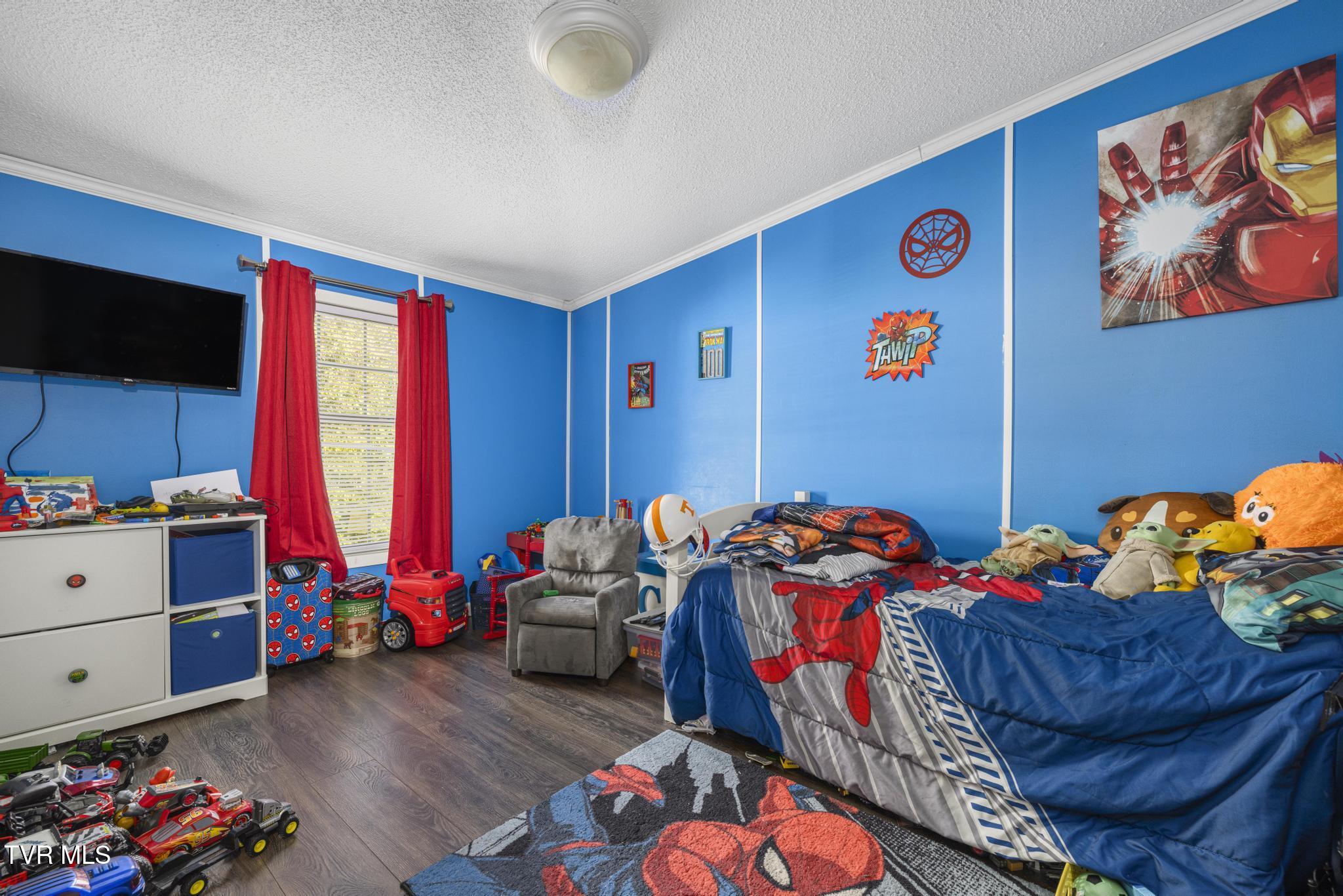 15825 Kingsport Highway, Chuckey, Tennessee image 30