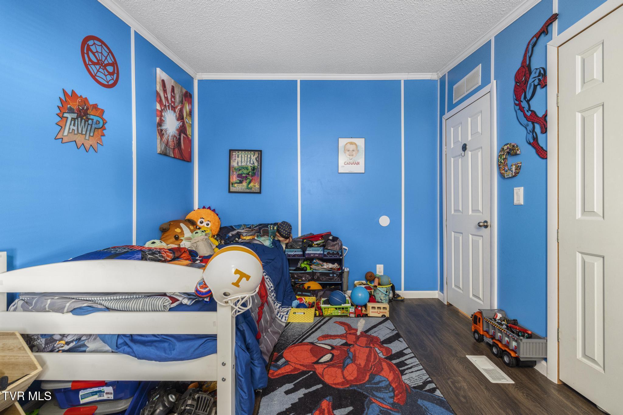 15825 Kingsport Highway, Chuckey, Tennessee image 31