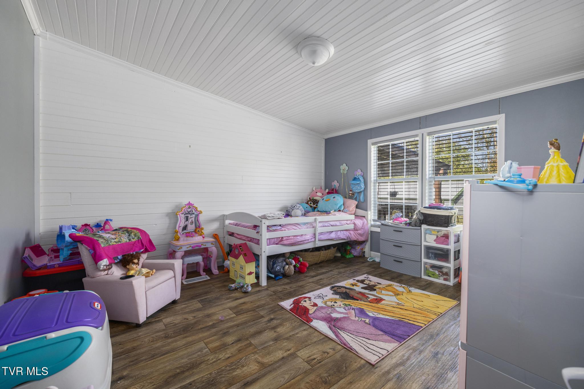 15825 Kingsport Highway, Chuckey, Tennessee image 28