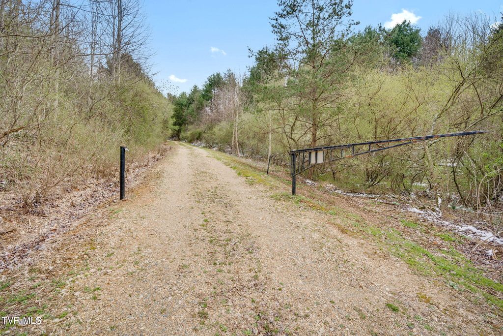 Photo of 151 Windy Hill Private Lane, Butler, TN 37640 (MLS # 9992546)