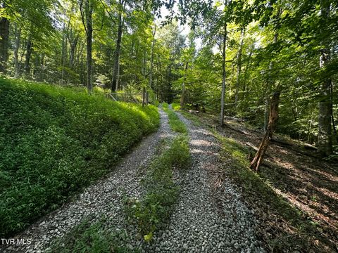 Vacant Land For Sale - TBD Clinch Mountain Road<br/> Eidson, TN 37731