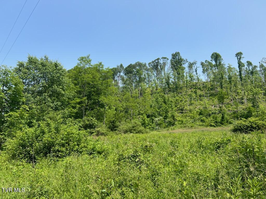 00 Antioch Road, Mountain City, Tennessee image 5