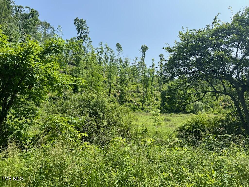 00 Antioch Road, Mountain City, Tennessee image 7