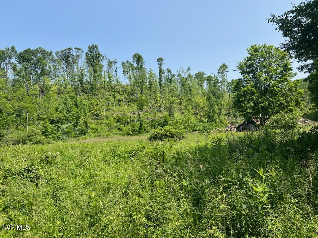 00 Antioch Road, Mountain City, Tennessee image 4