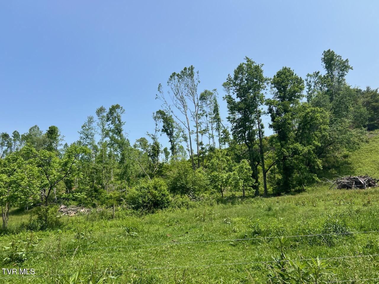 00 Antioch Road, Mountain City, Tennessee image 1