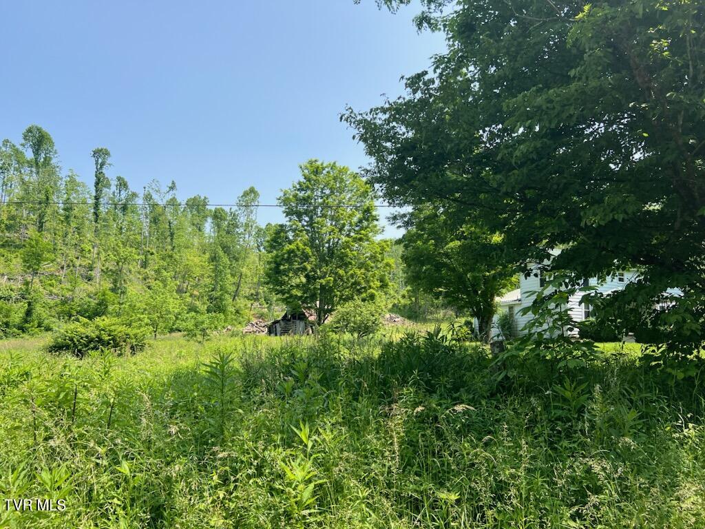00 Antioch Road, Mountain City, Tennessee image 6