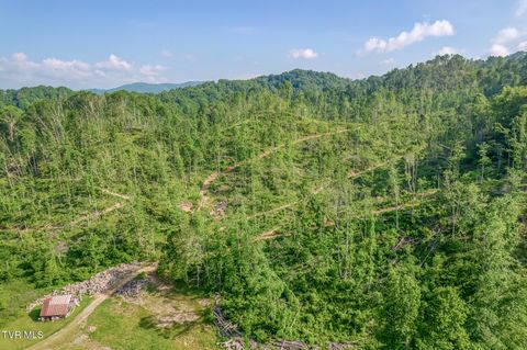 Vacant Land For Sale - 00 Antioch Road<br/> Johnson County, Mountain City, TN 37683