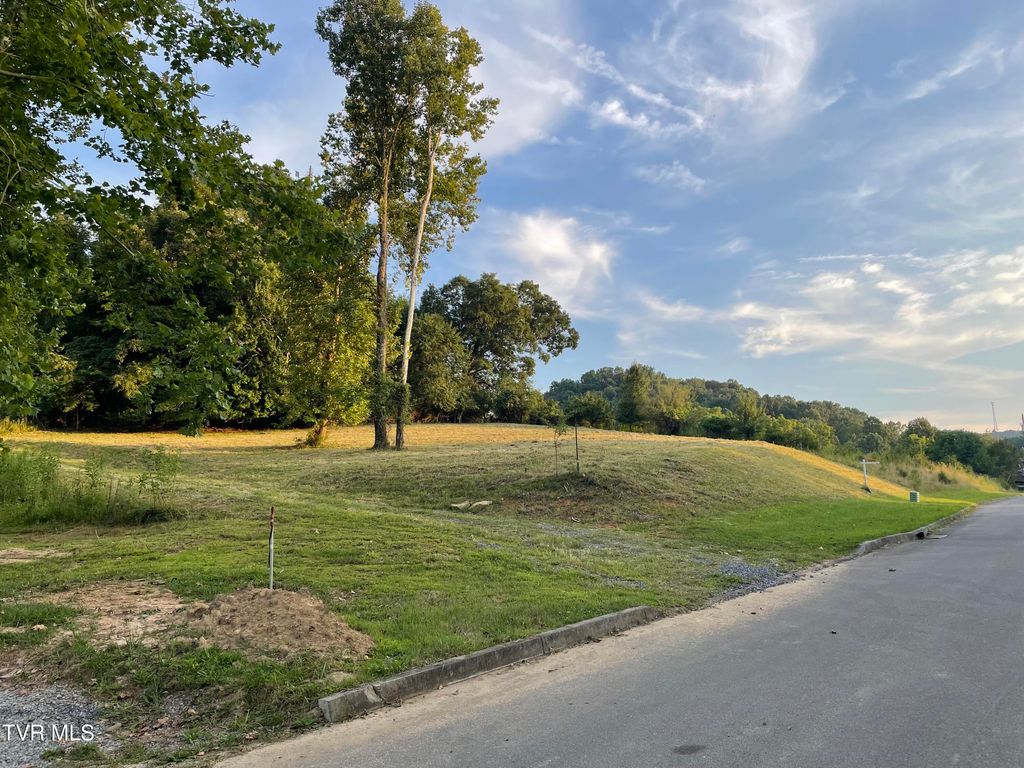 Photo of 1095 Reynolds Road, Piney Flats, TN 37686 (MLS # 9991716)