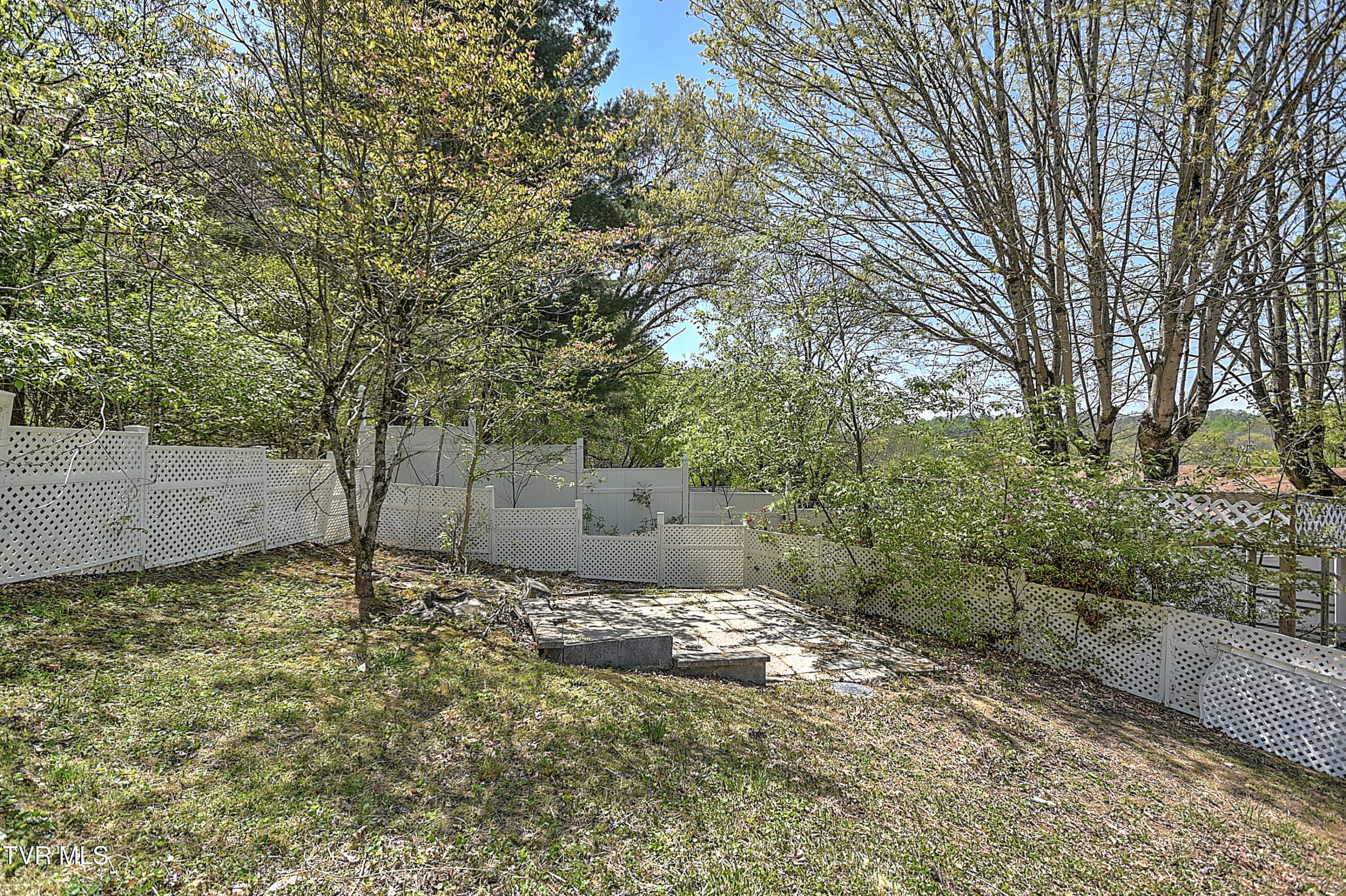 2638 Anderson Street, Bristol, Tennessee image 49