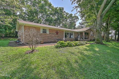 Photo of 3155 Erwin Highway, Afton, TN 37616 (MLS # 9989057)