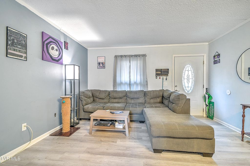 Photo of 788 Meadow View Road, Bristol, TN 37620 (MLS # 9990238)