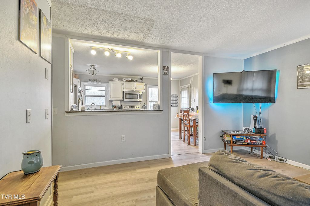 Photo of 788 Meadow View Road, Bristol, TN 37620 (MLS # 9990238)