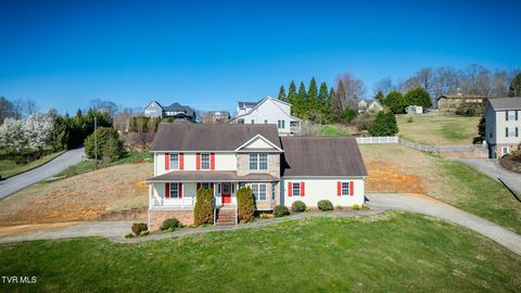 Photo of 137 Austin Ridge Court, Gray, TN 37615 (MLS # 9992129)