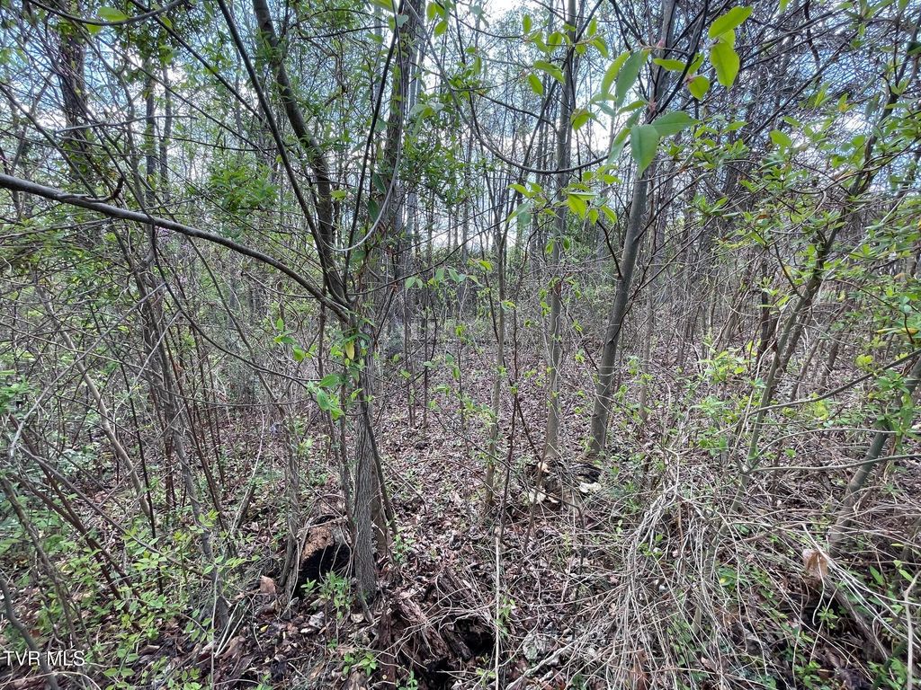 Photo of 354 Glasgow Lane, Blountville, TN 37617 (MLS # 9988972)