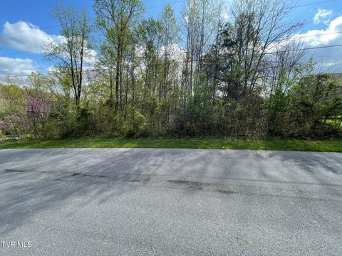 Vacant Land For Sale - 354 Glasgow Lane<br/> Sullivan County County, Blountville, TN 37617