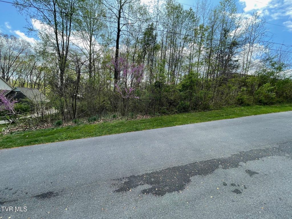 Photo of 354 Glasgow Lane, Blountville, TN 37617 (MLS # 9988972)