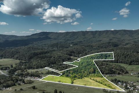 Vacant Land For Sale - TBD Hwy 67<br/> Johnson County, Mountain City, TN 37683