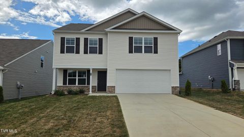 118 Crawford Circle Ln, Bristol, TN 37618 - MLS#: 9964072