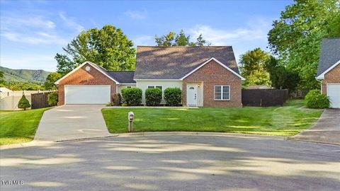Photo of 11 Mannington Court, Johnson City, TN 37604 (MLS # 9996458)