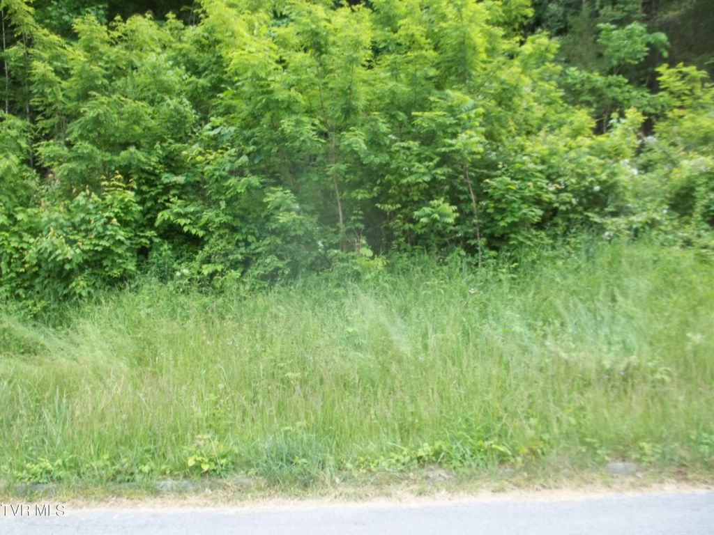Photo of 433 Creekside Drive, Mount Carmel, TN 37645 (MLS # 9995188)