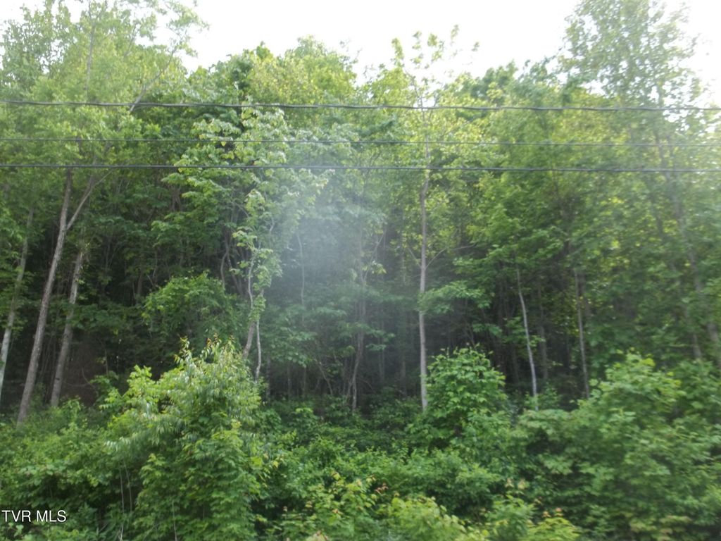 Photo of 433 Creekside Drive, Mount Carmel, TN 37645 (MLS # 9995188)