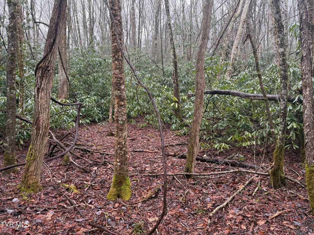 Photo of Tbd Stocton Road, Roan Mountain, TN 37687 (MLS # 9990114)