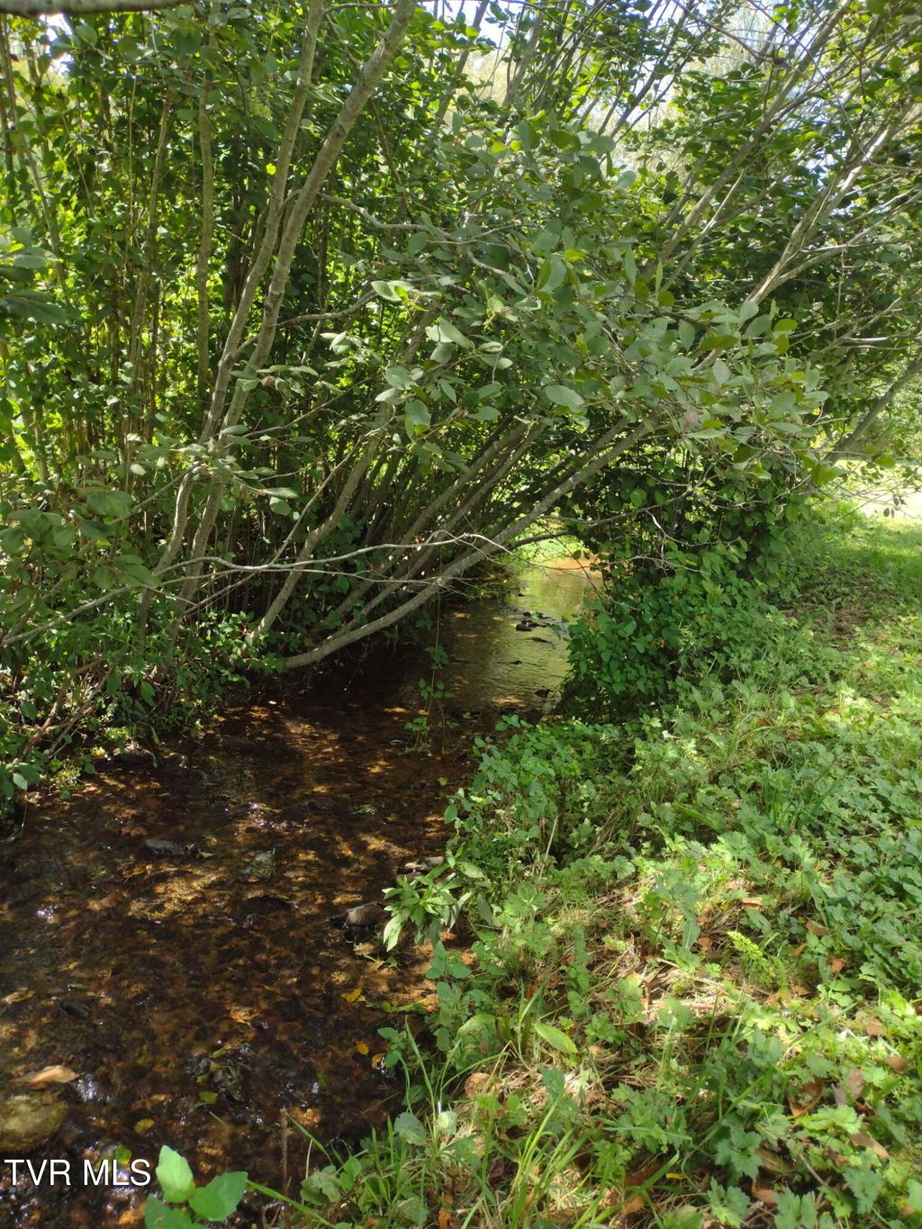 Photo of Tbd Stocton Road, Roan Mountain, TN 37687 (MLS # 9990114)