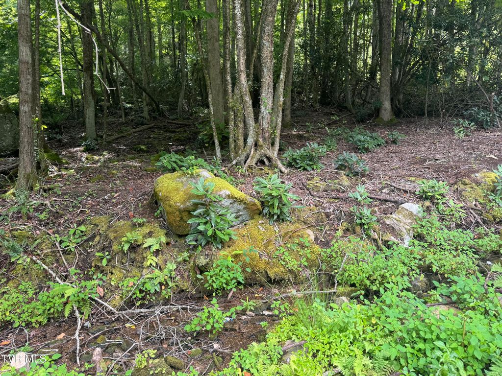 Photo of Tbd Stocton Road, Roan Mountain, TN 37687 (MLS # 9990114)