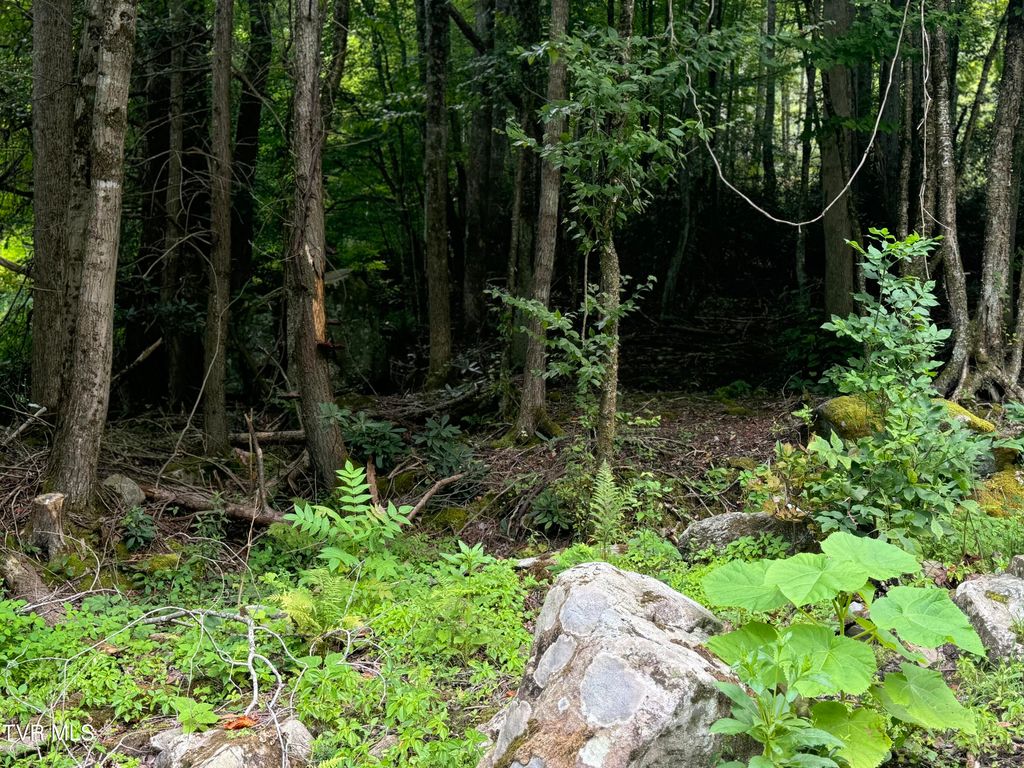 Photo of Tbd Stocton Road, Roan Mountain, TN 37687 (MLS # 9990114)