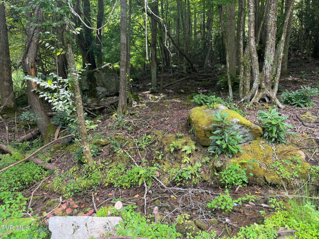 Photo of Tbd Stocton Road, Roan Mountain, TN 37687 (MLS # 9990114)