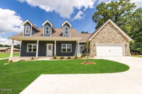 Homes For Sale - 495 Harlan Street<br/> Greeneville, TN 37745