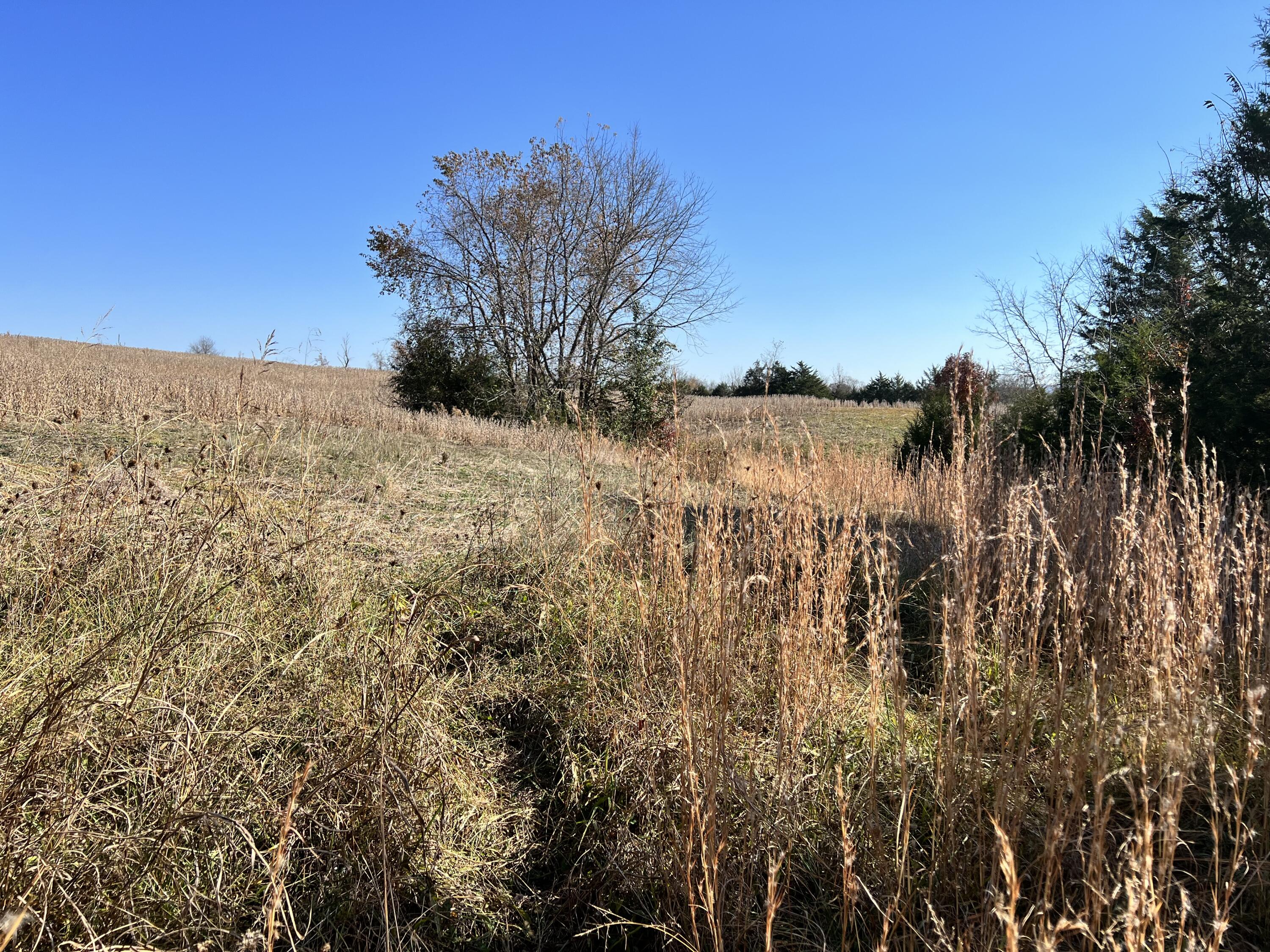 0.00 O J Campbell Road, Telford, Tennessee image 10