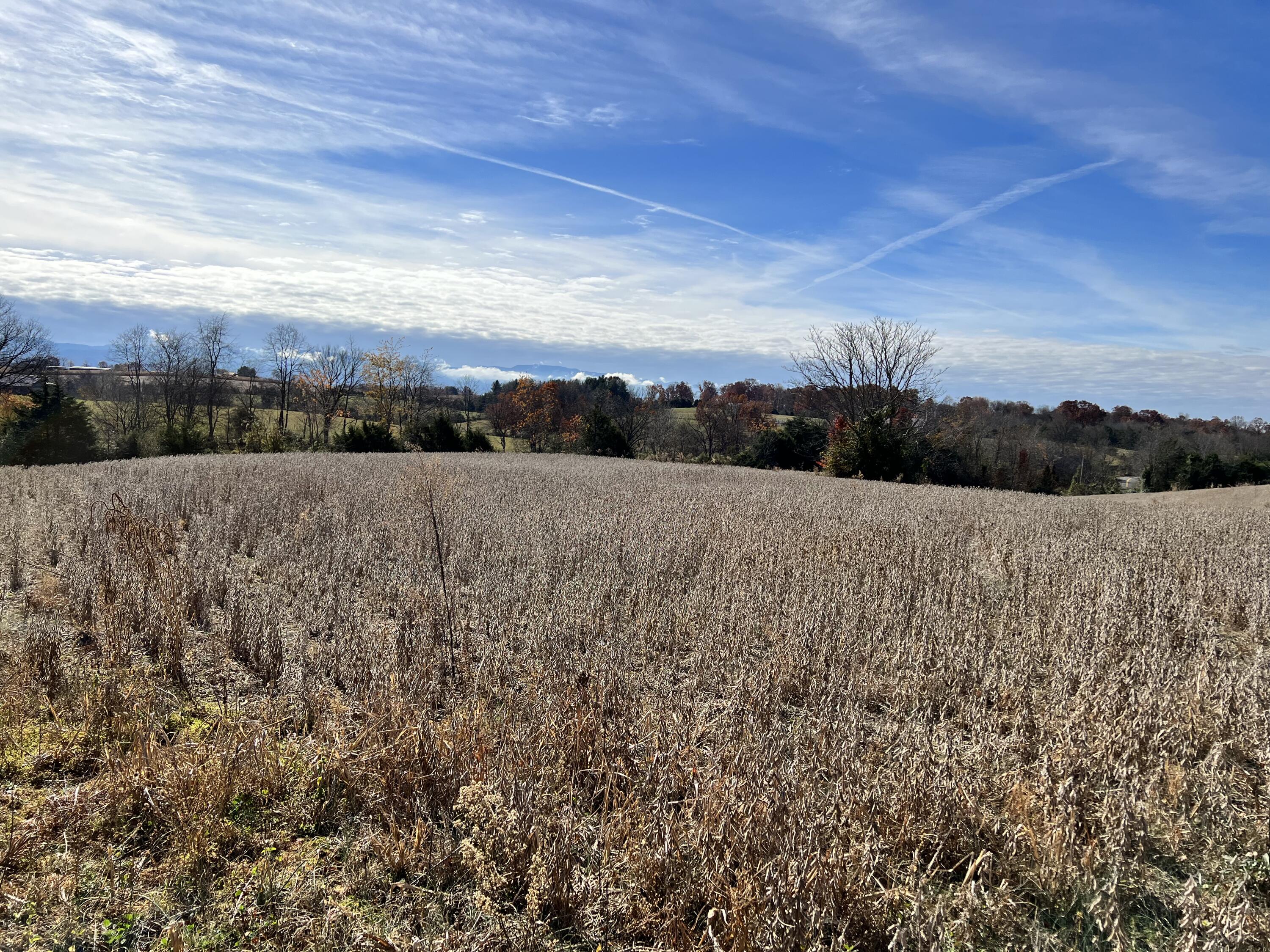 0.00 O J Campbell Road, Telford, Tennessee image 13