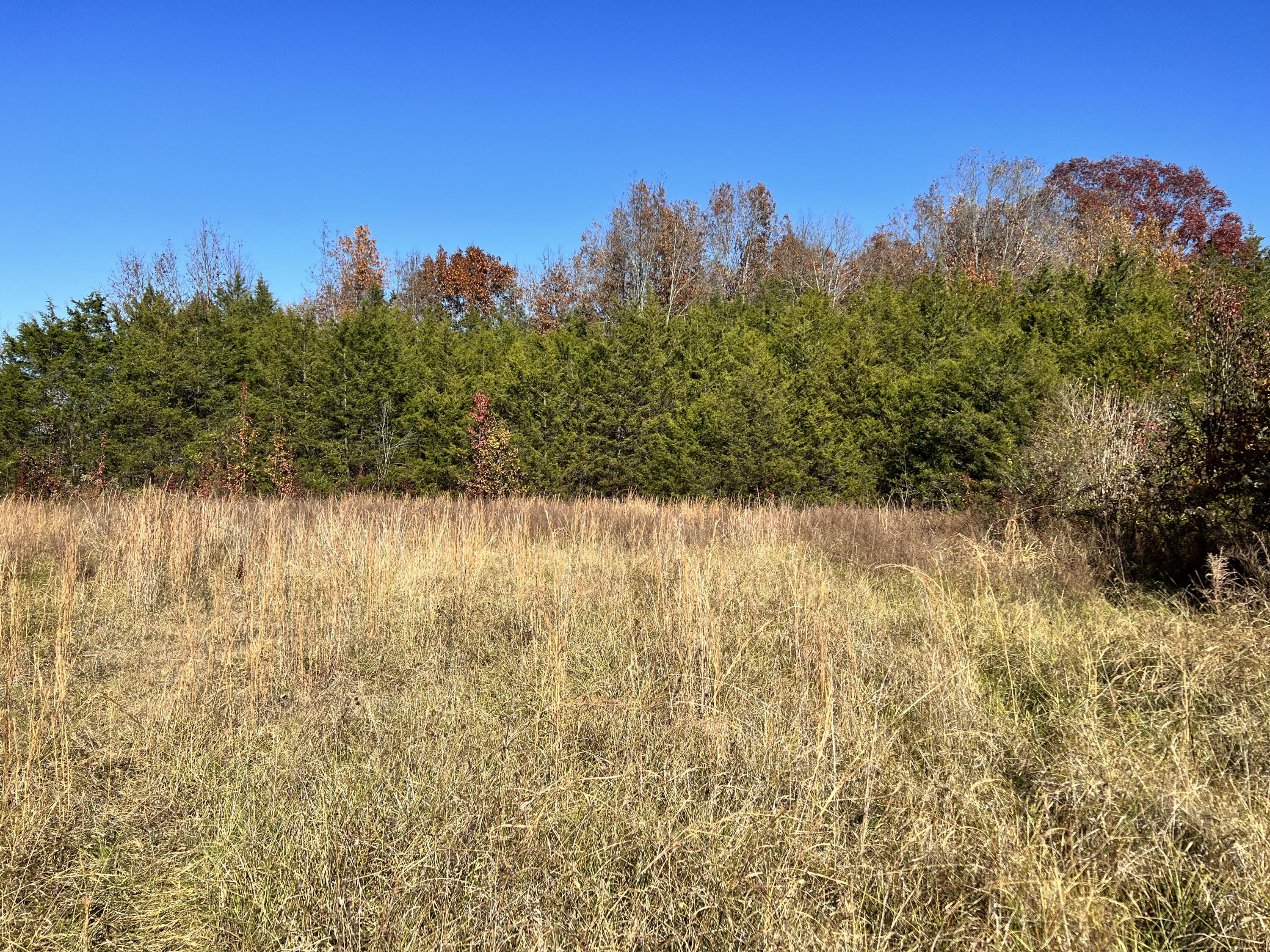 0.00 O J Campbell Road, Telford, Tennessee image 6