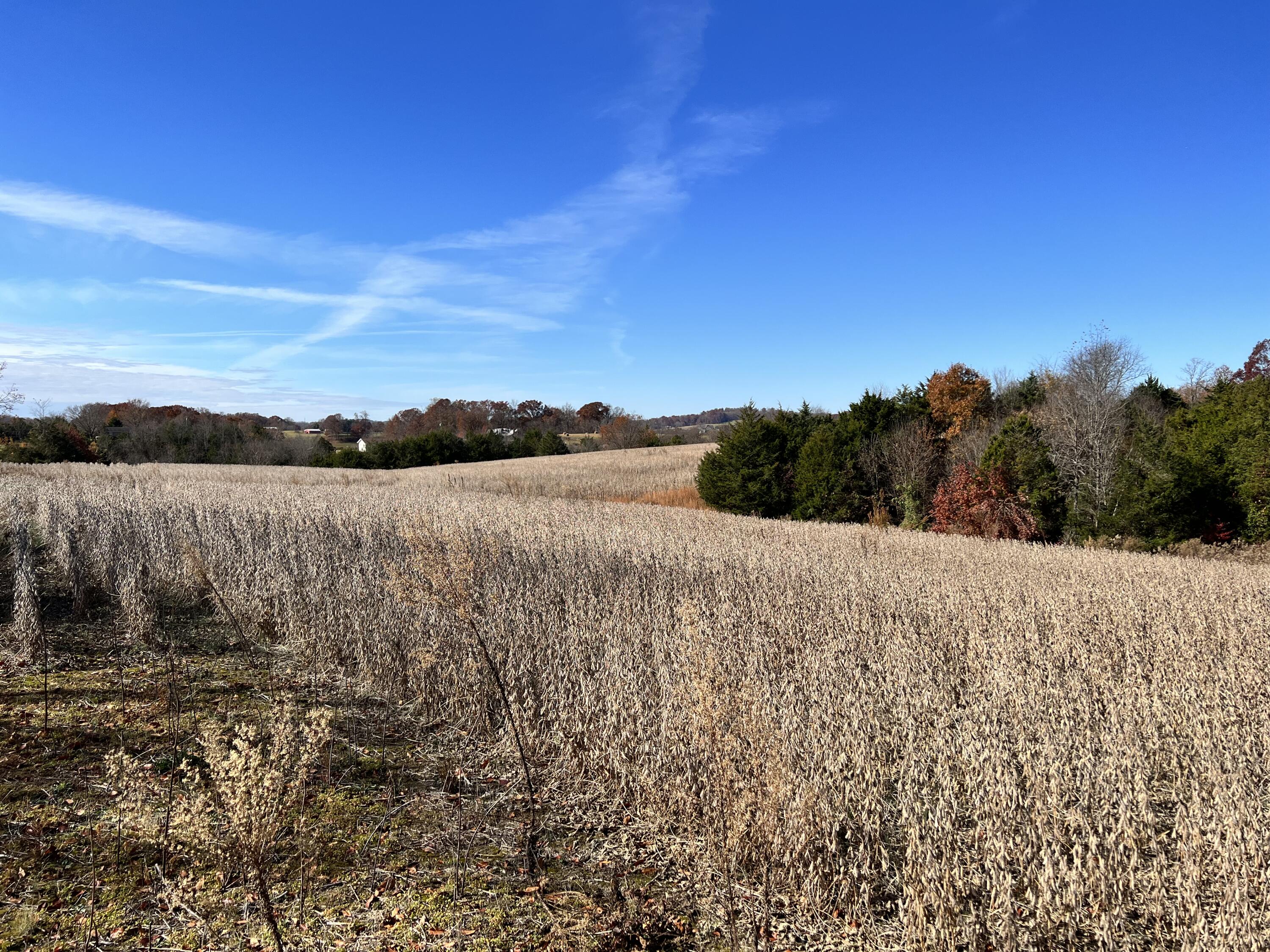 0.00 O J Campbell Road, Telford, Tennessee image 4