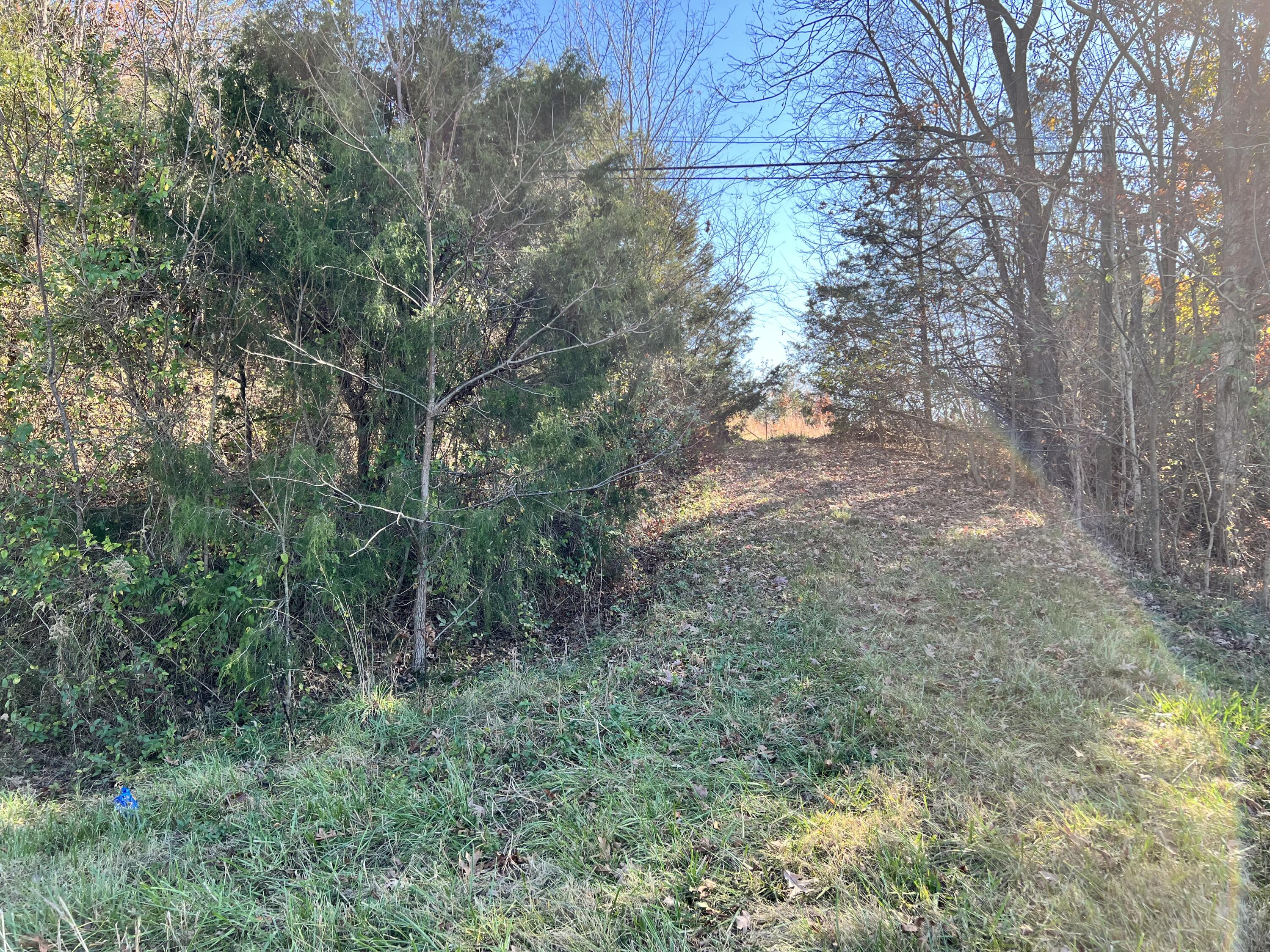 0.00 O J Campbell Road, Telford, Tennessee image 11